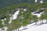 IMGP8711