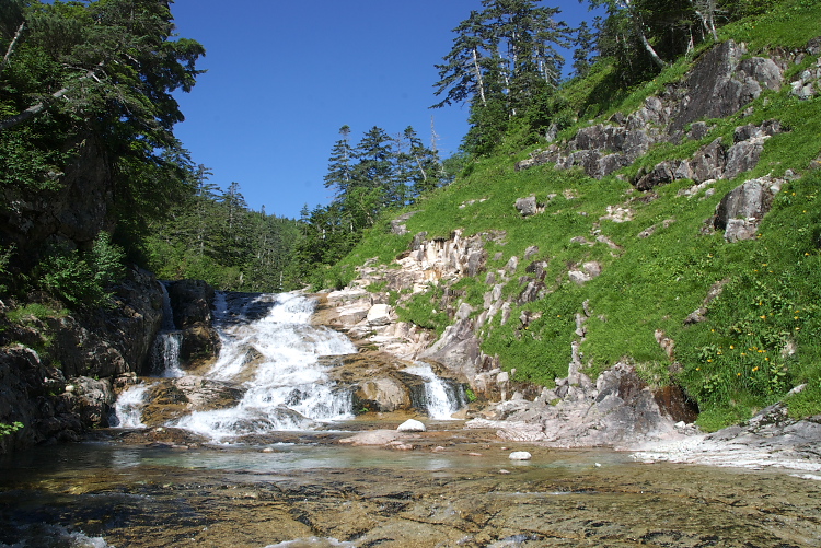 IMGP8845.jpg