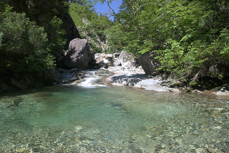 IMGP8870.jpg
