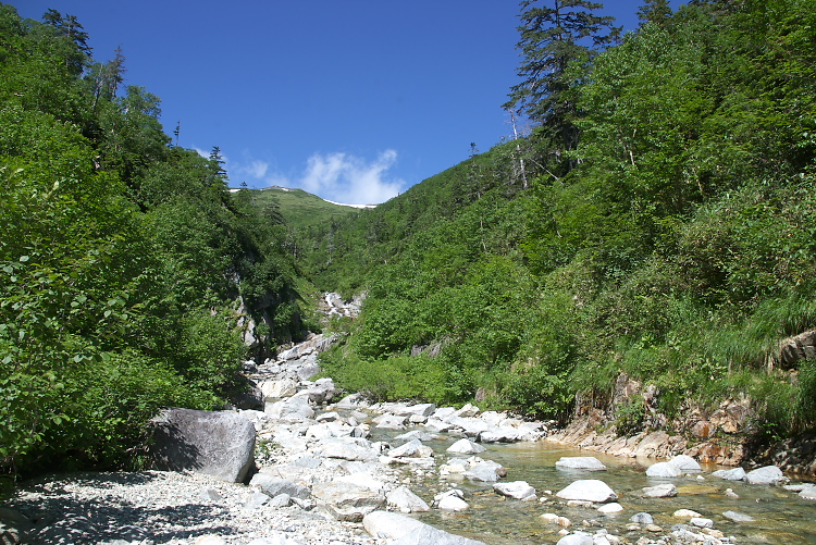 IMGP8877.jpg