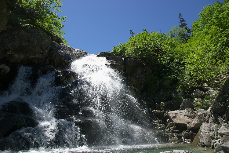 IMGP9025.jpg