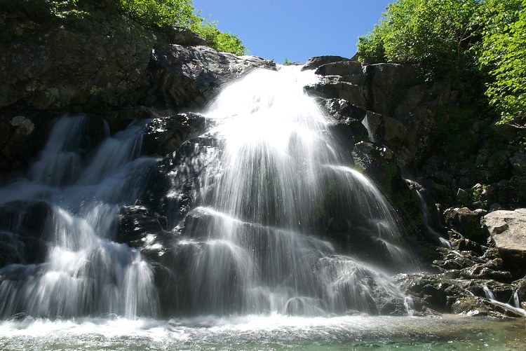 IMGP9027.jpg