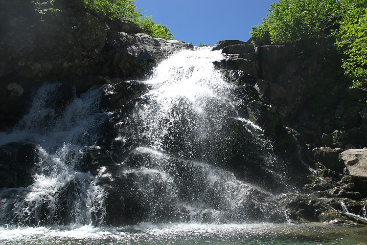 IMGP9028.jpg