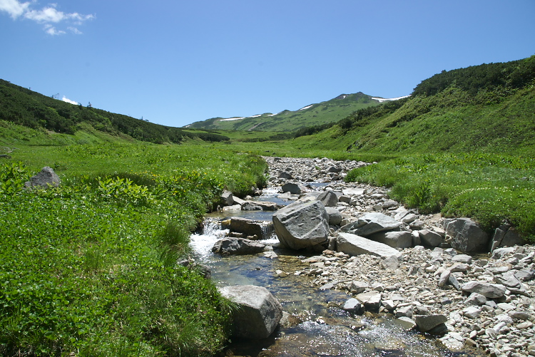 IMGP9050.jpg