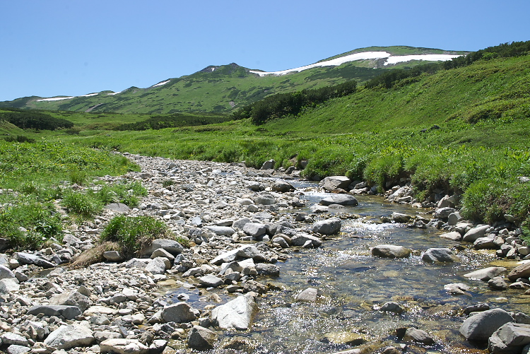 IMGP9056.jpg