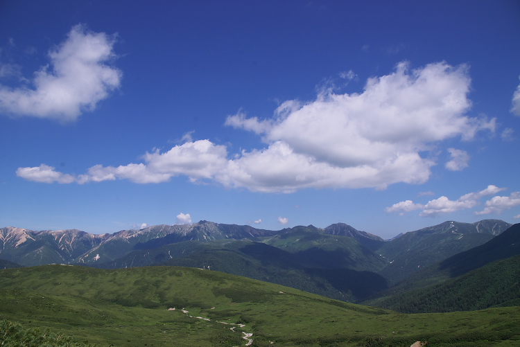 IMGP9082.jpg