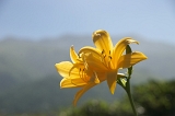 IMGP8791