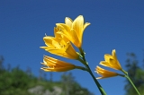 IMGP8861