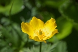 IMGP9043