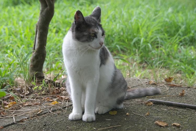 IMGP9147.jpg