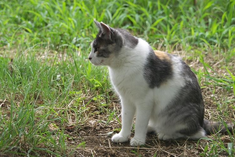 IMGP9154.jpg