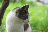 IMGP9150