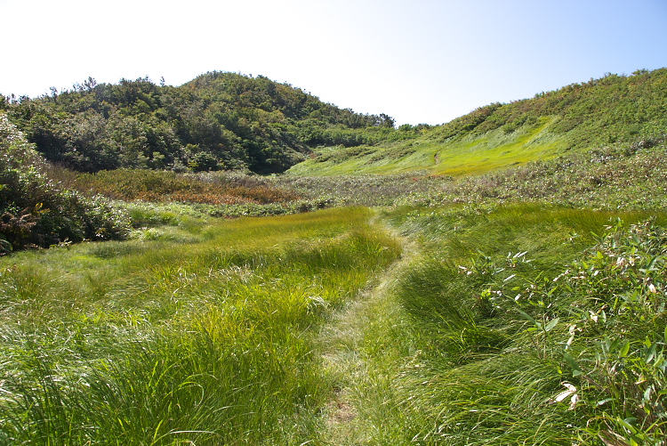 IMGP0762.jpg - 阿寺山山頂はやぶ