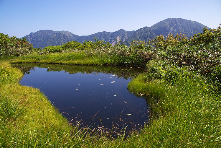 IMGP0789.jpg - 越後駒ケ岳と中の岳