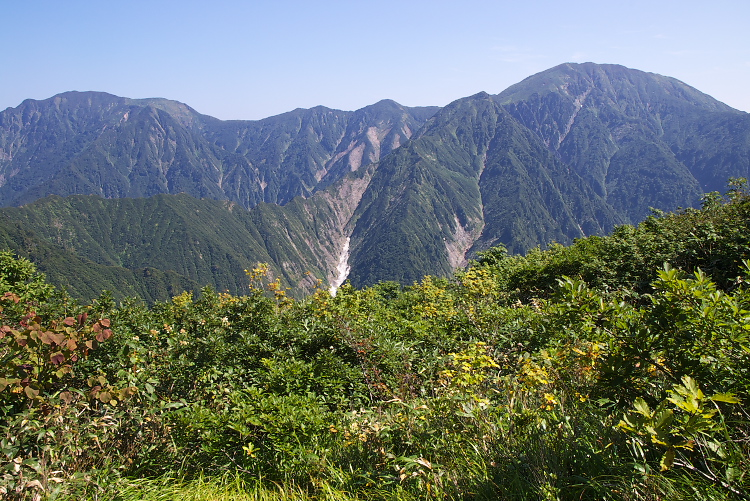 IMGP0802.jpg