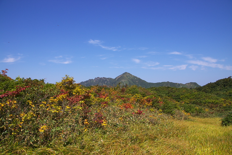 IMGP0823.jpg