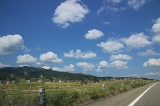 IMGP0701