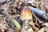 IMGP0743