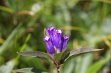 IMGP0798