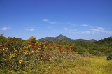 IMGP0823