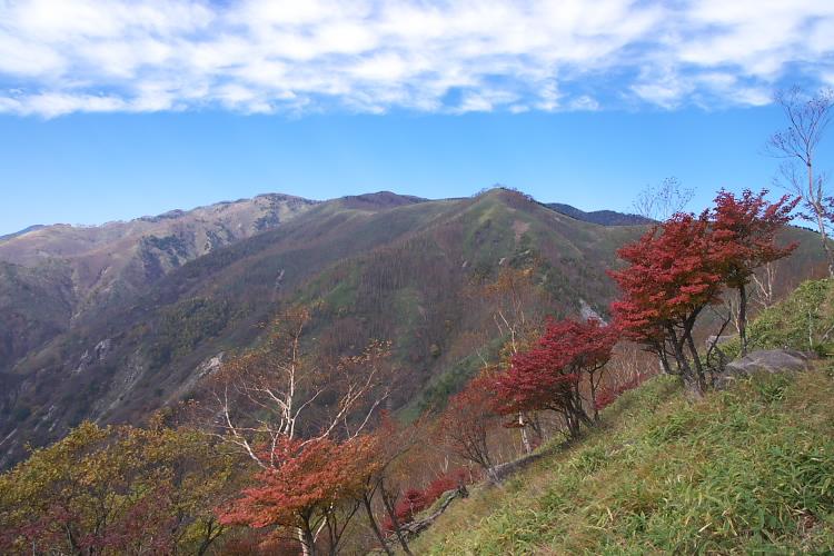 IMGP1206.jpg