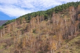 IMGP1174