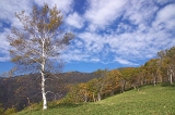 IMGP1190