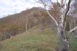 IMGP1198