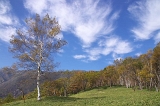 IMGP1247