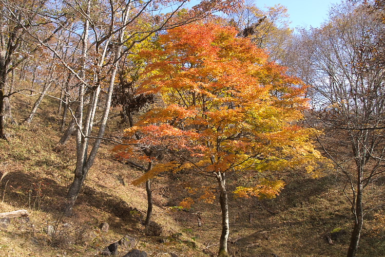 IMGP1387.jpg