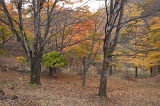 IMGP1378