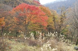 IMGP1380