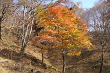 IMGP1387