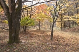 IMGP1397