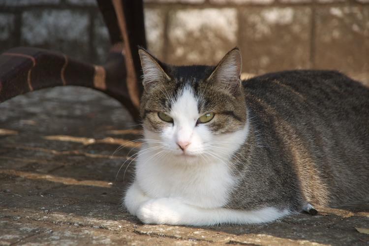 IMGP1461.jpg - 里見公園にて