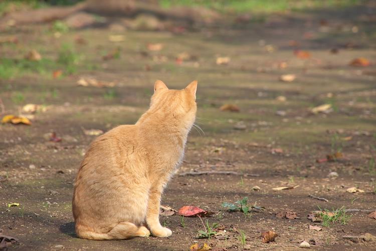 IMGP1473.jpg - 里見公園にて