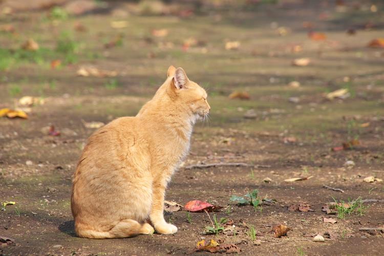 IMGP1474.jpg - 里見公園にて