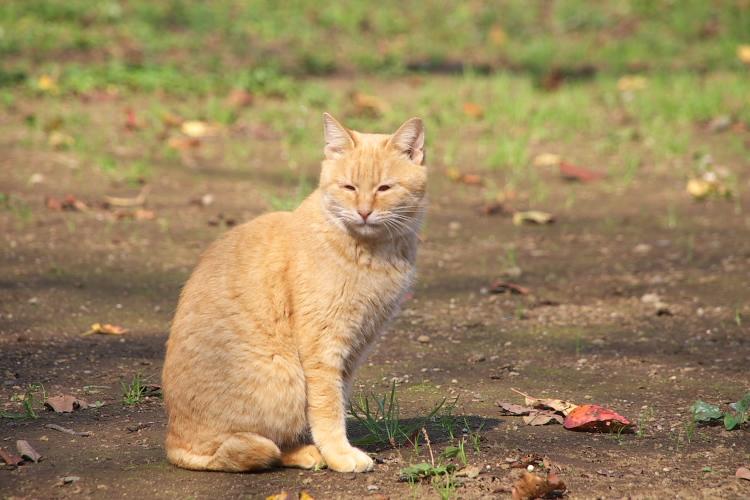 IMGP1476.jpg - 里見公園にて
