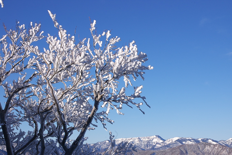 IMGP1665.jpg - 苗場山