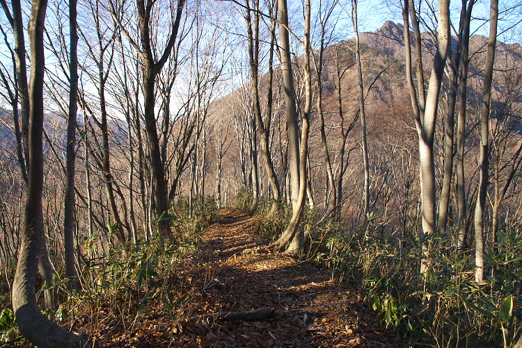 IMGP1770.jpg