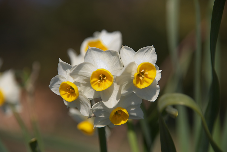 IMGP2127.jpg