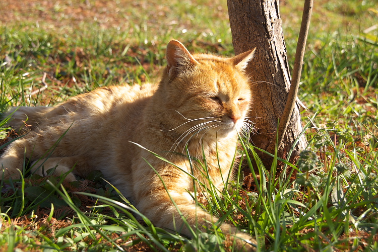 IMGP2138.jpg