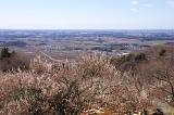 IMGP2162
