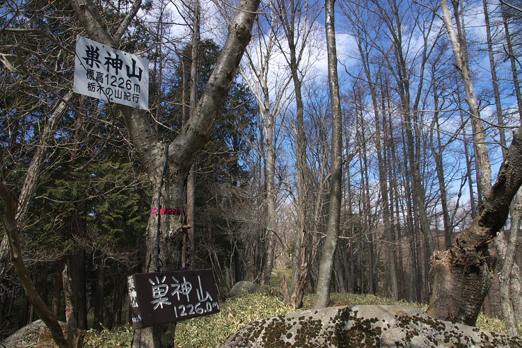 IMGP2264.jpg