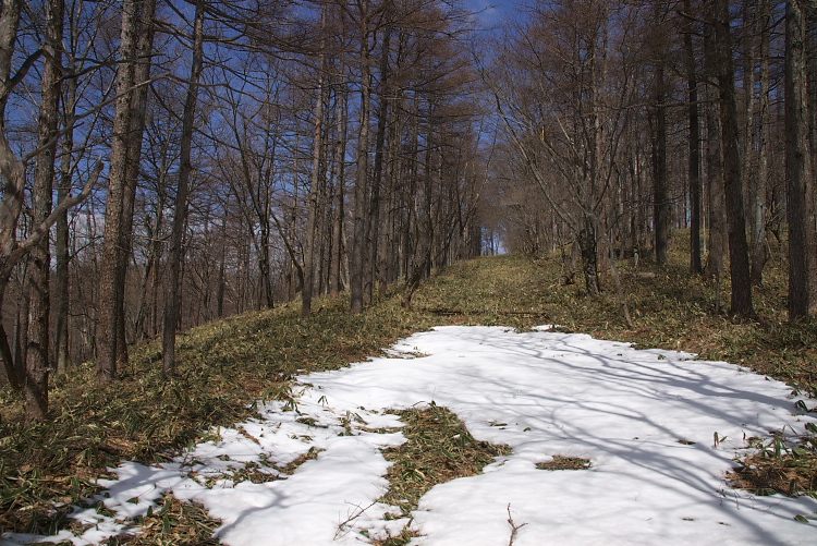 IMGP2268.jpg