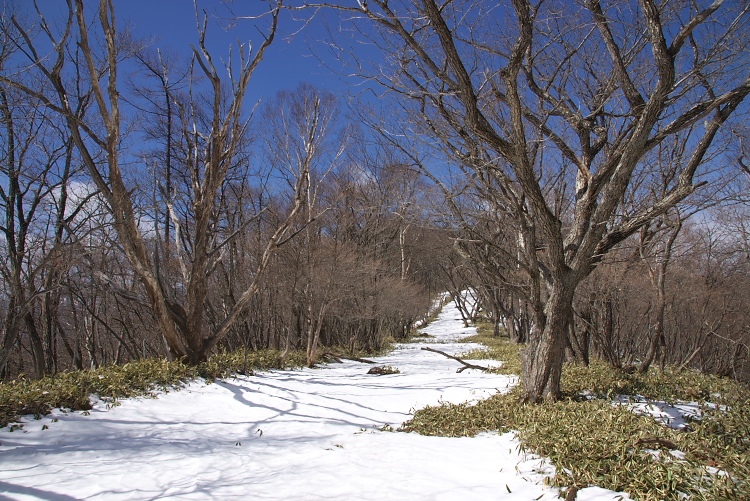 IMGP2281.jpg