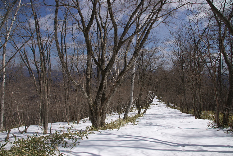 IMGP2288.jpg