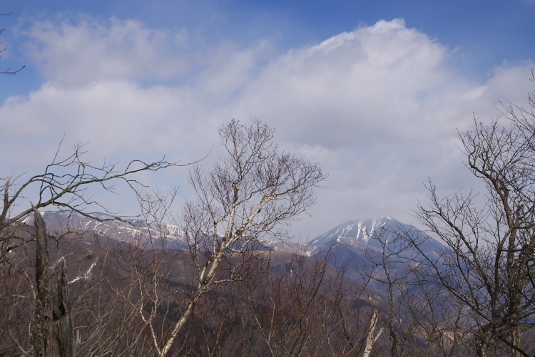 IMGP2297.jpg