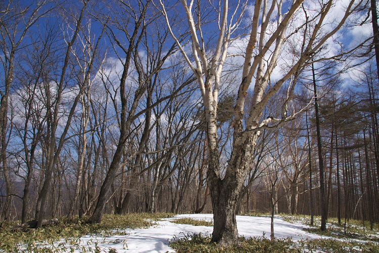IMGP2298.jpg