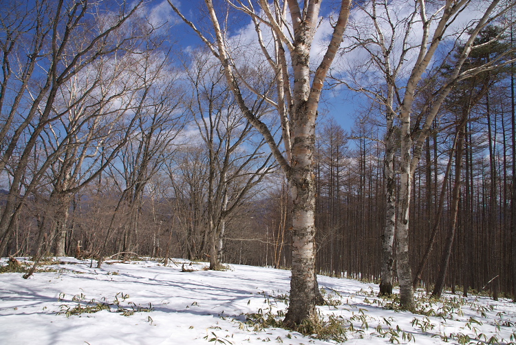 IMGP2299.jpg